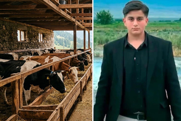 Iğdır’da büyükbaş hayvanın darbesiyle ağır yaralanan kişi hayatını kaybetti