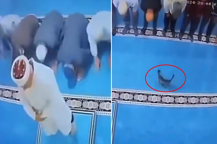 Namazda akılalmaz olay Tekmelediği kedi imamın başına çarptı