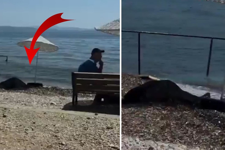 Kadının cansız bedeni kıyıya vurdu, hiçbir şey olmamış gibi oturmaya devam ettiler