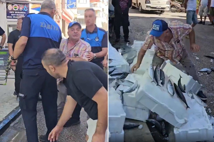 Zabıta uyardı, esnaf çılgına döndü Balıkları tek tek yere fırlattı