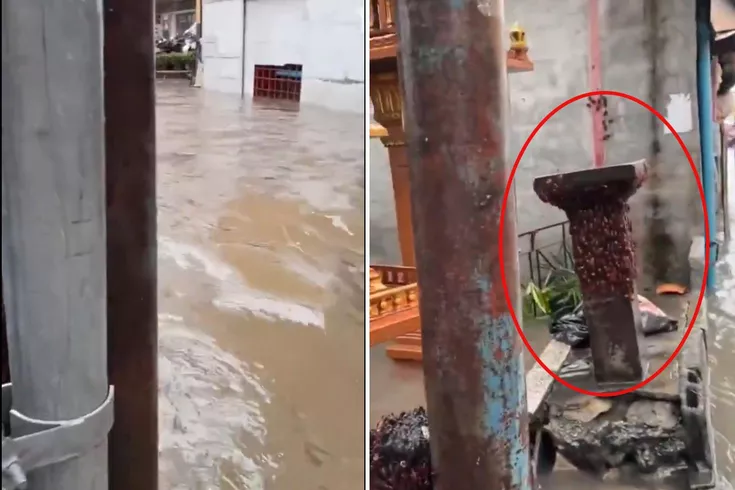 Tayland’da kabus görüntüleri: Sel suları binlerce hamam böceğini sokağa döktü