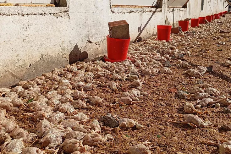 Dakikalar içinde büyük yıkım Gördükleri manzara kahretti