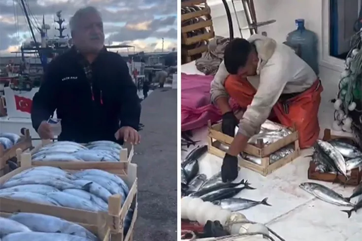 Karadeniz bereketi tezgaha vurdu Palamut 50 liraya kadar düştü