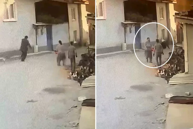 Yaşlı adama motorlu testereyle korku dolu anlar yaşattı