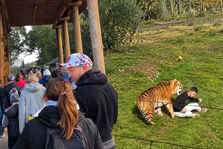 Dakikalar önce söylemiş Kaplanın öldürdüğü gencin son isteği ortaya çıktı