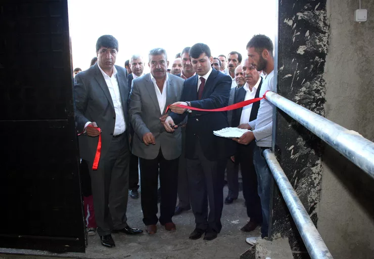 Pasiler\'e Dev Yatırım