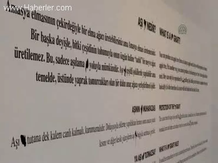 "Aşı", Ankara\'da