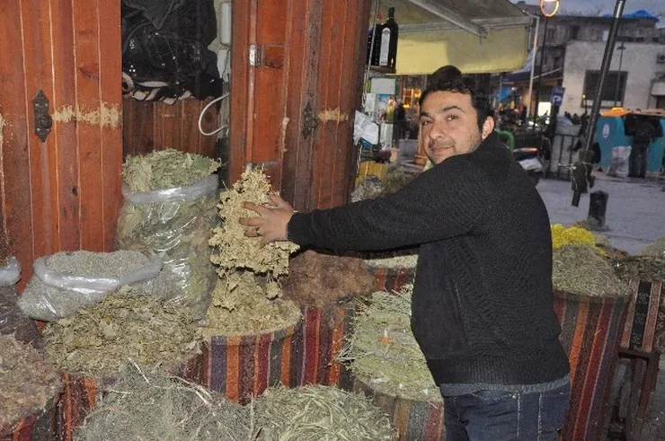 Her Derde Deva Civanperçemi Otu
