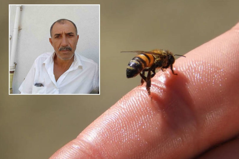 Çorum’da arı sokması can aldı Doktorların müdahalesi yetmedi