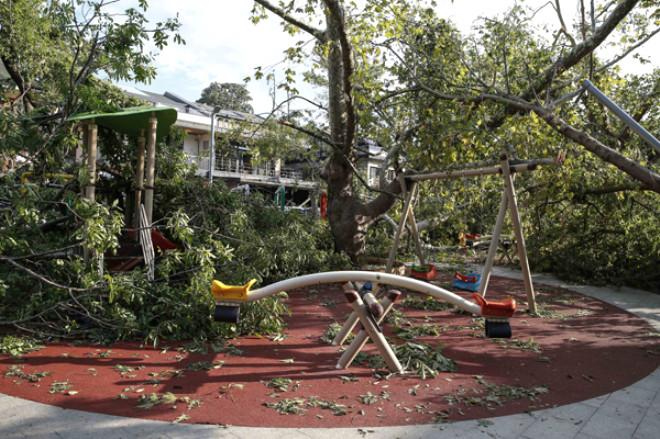 Kadıköy’de Yüzlerce Ağaç Devrildi Son Dakika
