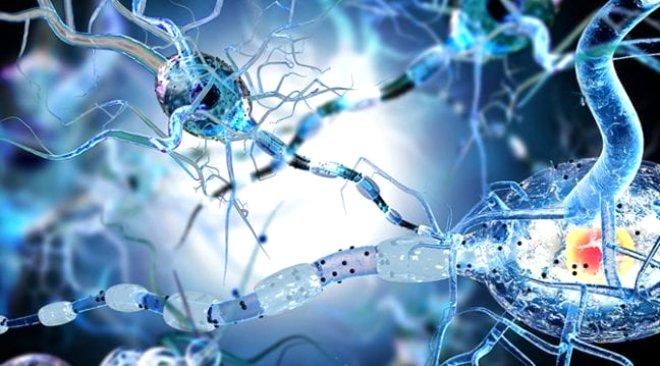 Yanlış: Epilepsili kişilerin çocuklarında da epilepsi olur.