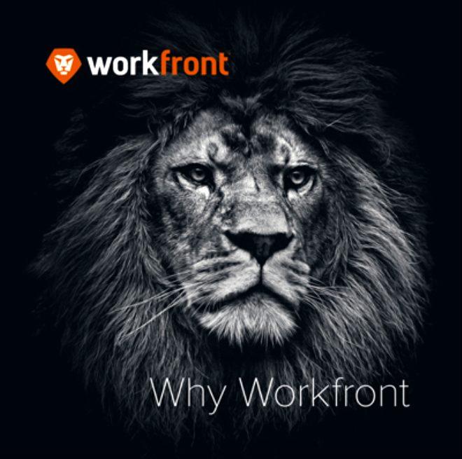 Workfront/ En mutlu bölüm: IT