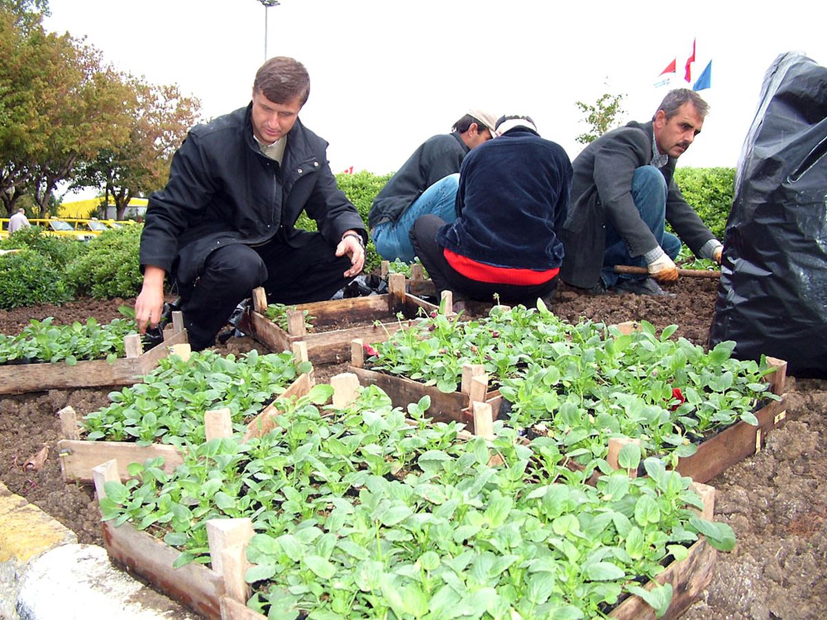 Yalova: Yalova'ya 50 Bin Mevsimlik Çiçek