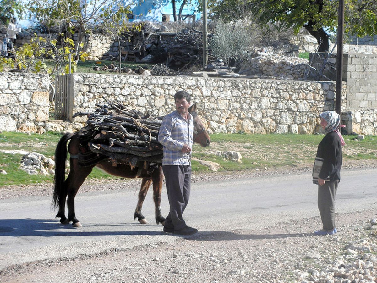 Mersin: Mersin'de Köylünün Kışlık Yakacak Hazırlığı