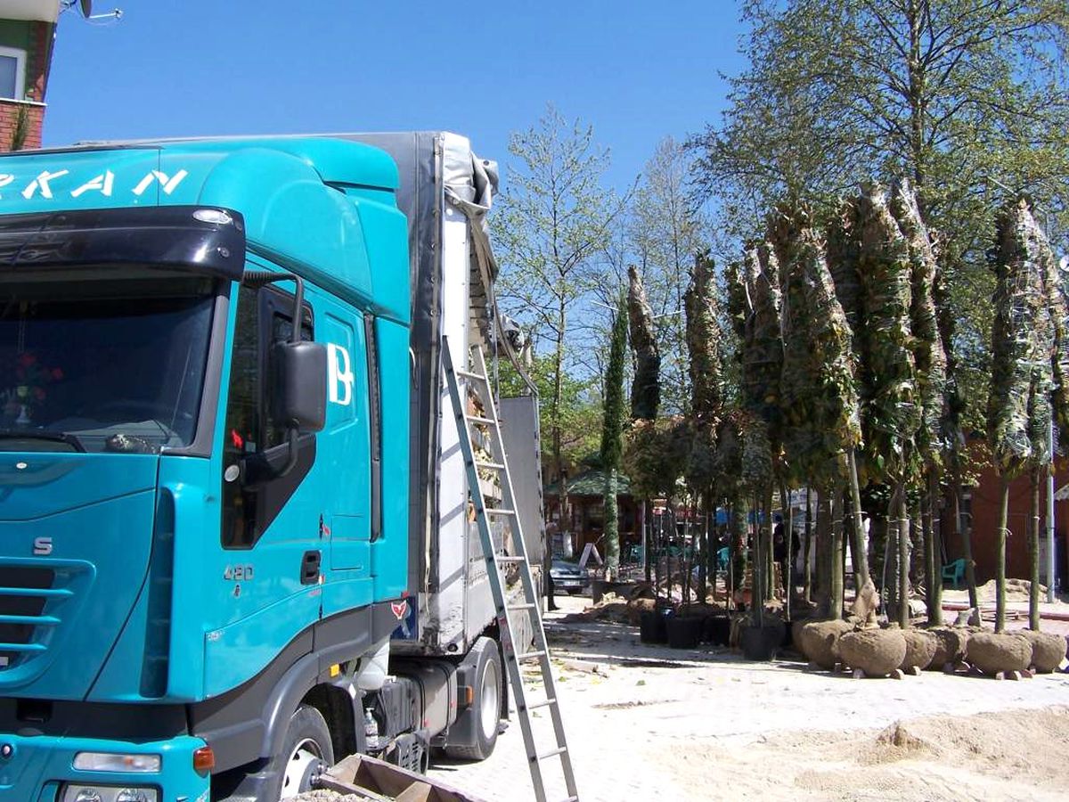 Sakarya'da Yerel Yönetimler