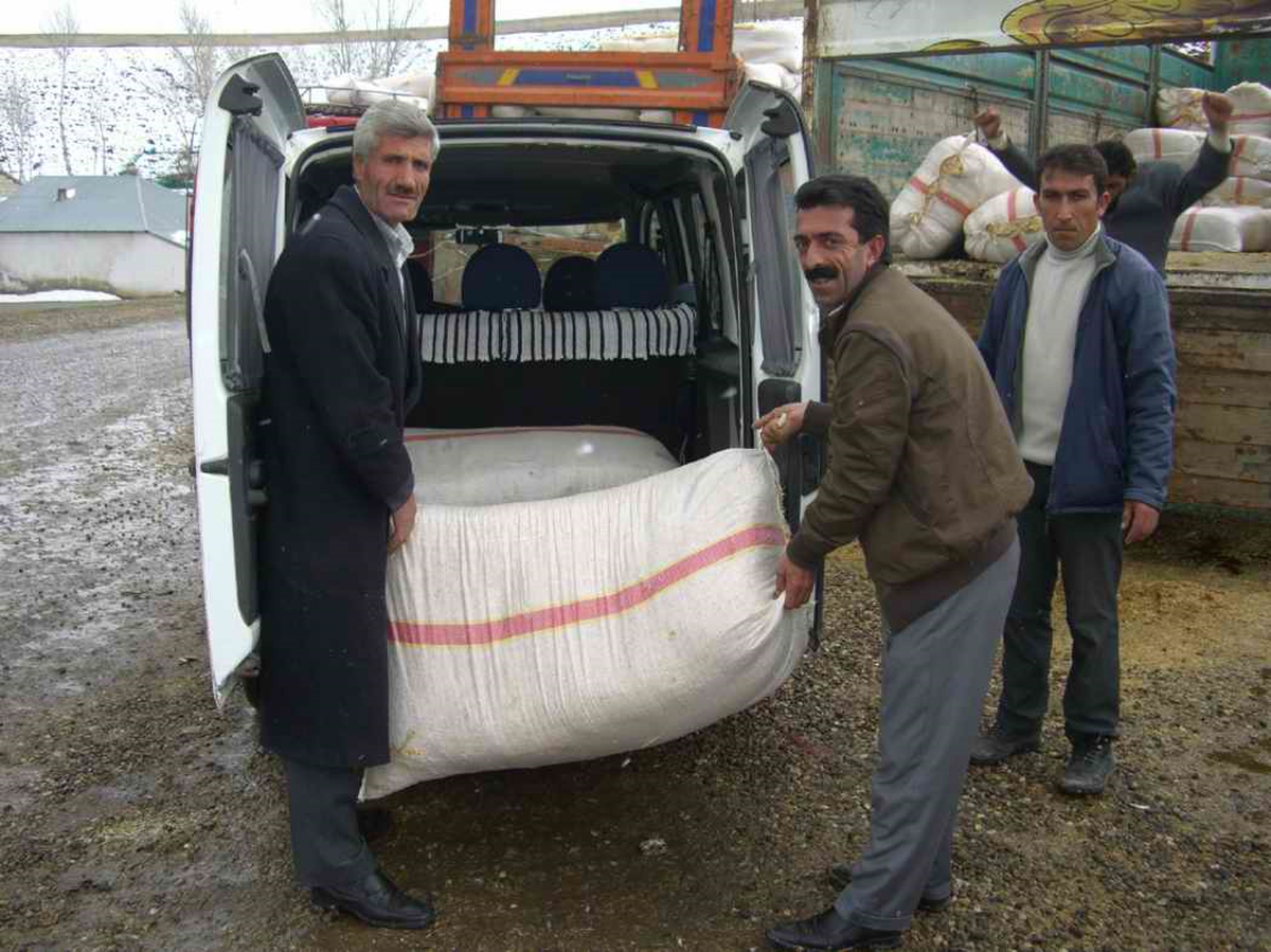 Hayvan Üreticileri Saman Derdine Düştü