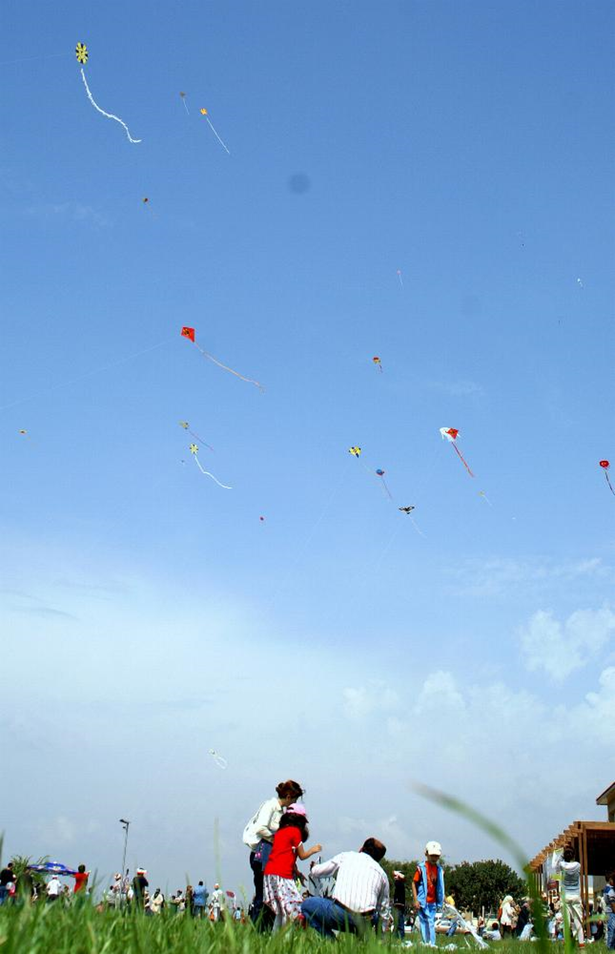 Beach Park'ta Uçurtma Şenliği