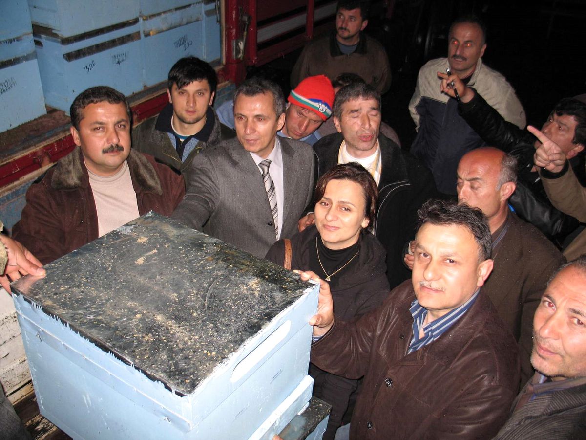 Görele'de 50 Arıcıya 750 Adet Arılı Kovan Dağıtıldı