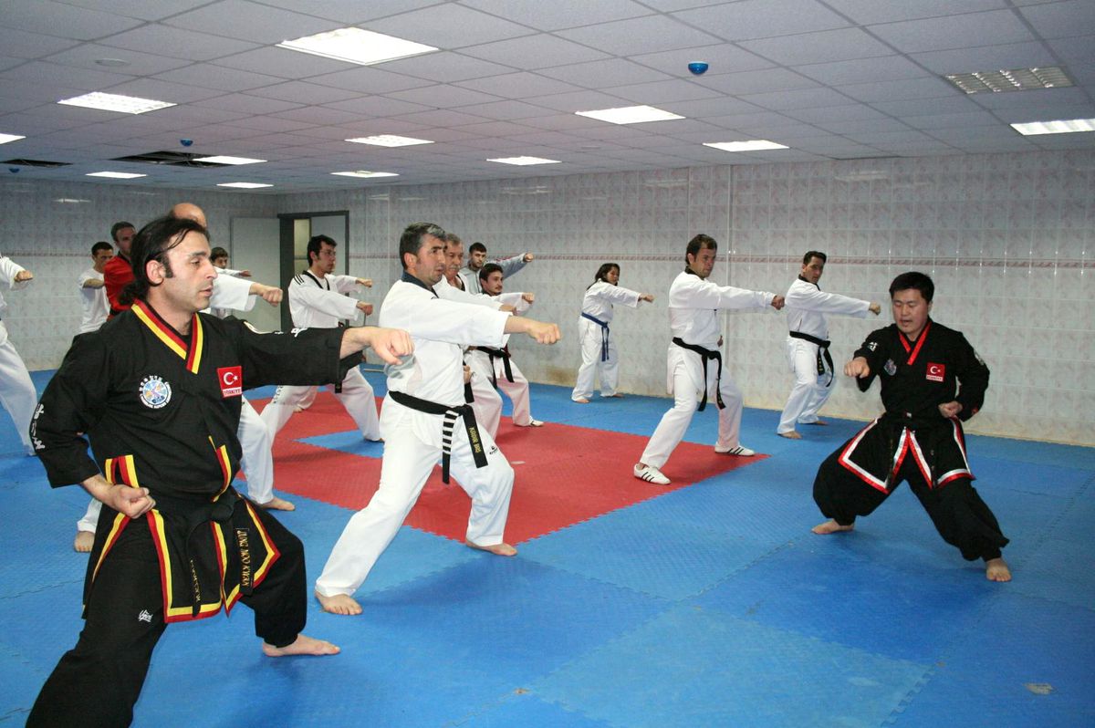 Giresun'da Hapkido Semineri
