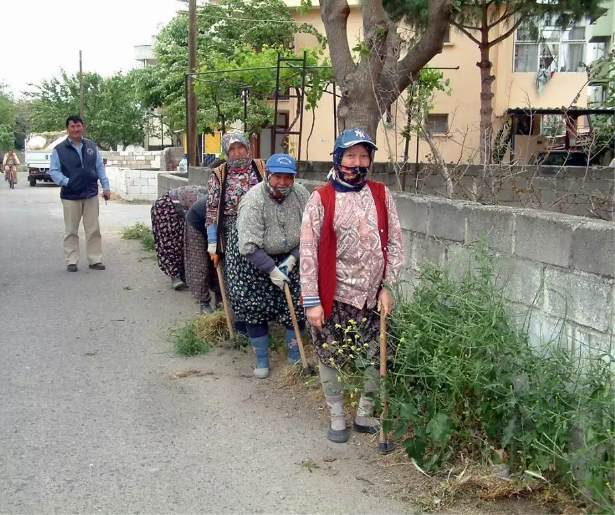 Burhaniye'de Bayanlardan Ot Temizleme Timi…