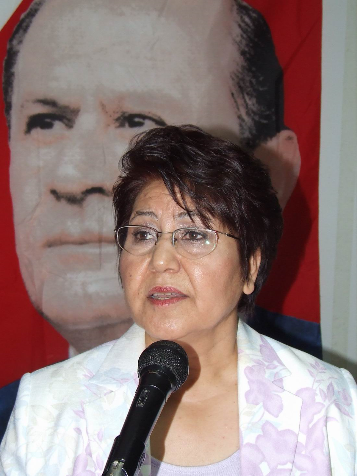 Milletvekili Aday Adayları