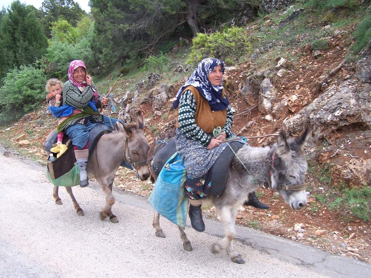Yayla Göçü Başladı