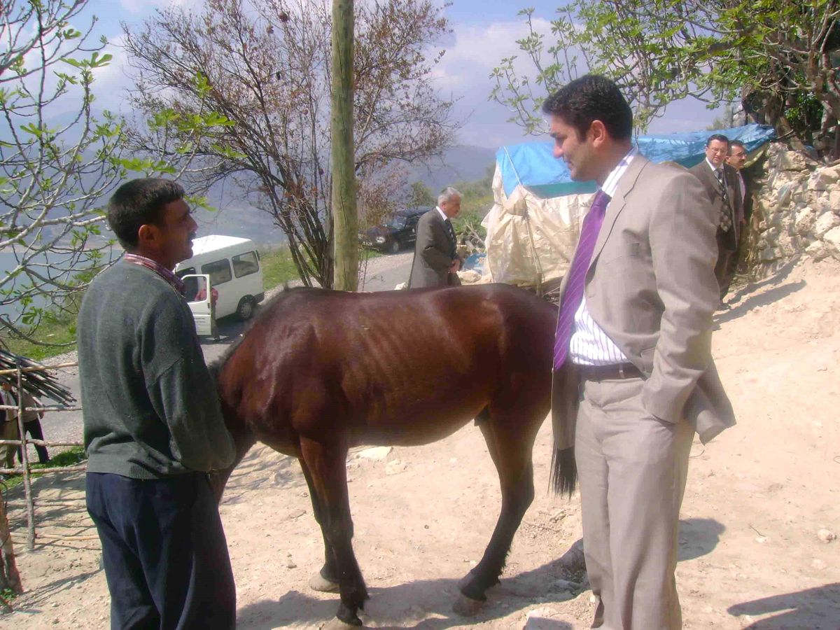 Kaymakamlıktan Yoksul Aileye At Yardımı