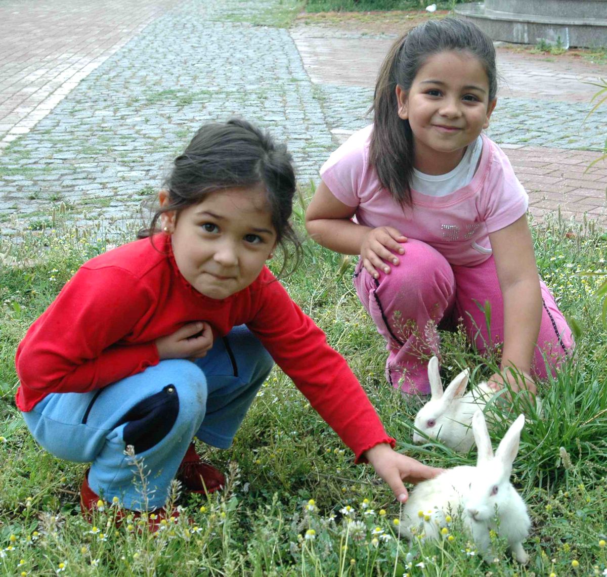 Miniklerin Tavşan Sevgisi