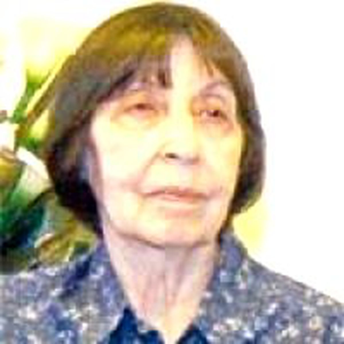 Rahşan Ecevit, Türk ile Tan'ı Çizdi