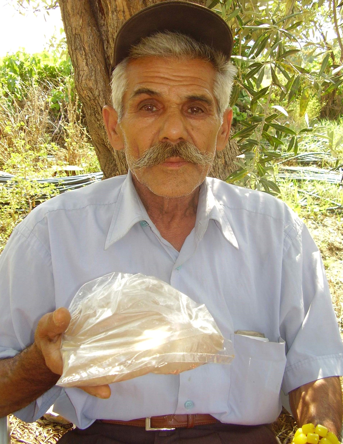 Yağmurla Birlikte Yağan Toprak İncelemeye Alındı