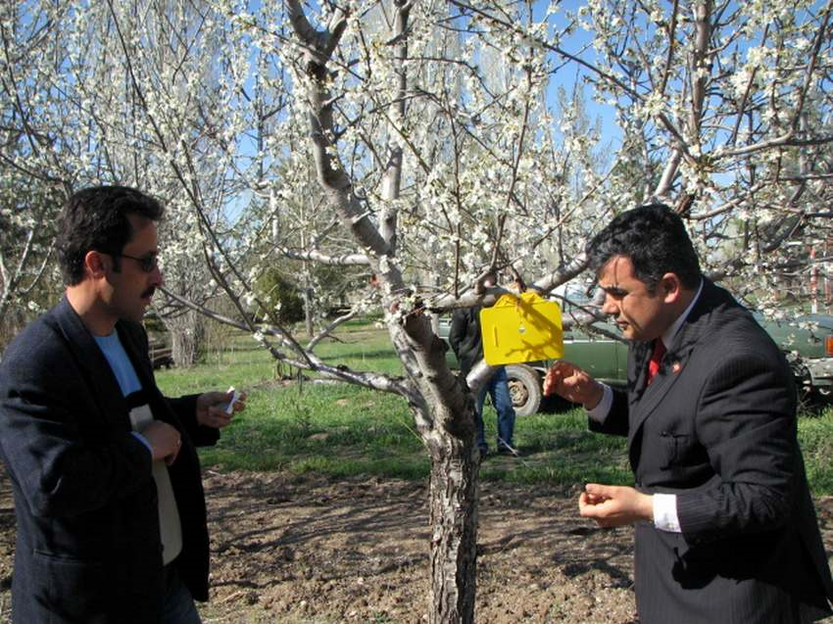Ereğli İlçe Tarım Müdürlüğü'nden Ateş Yanıklığı Hastalığı Uyarısı