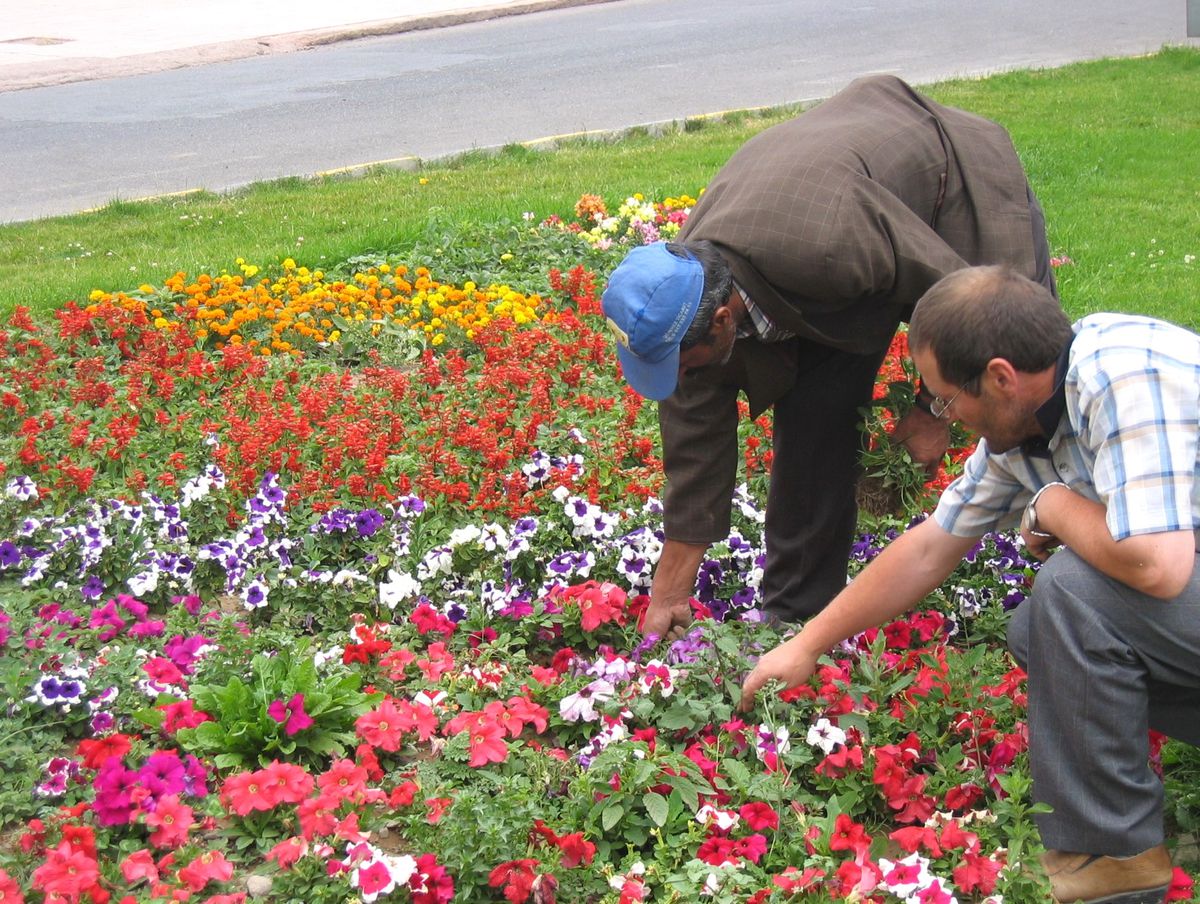 Erzurum Çiçeklendi