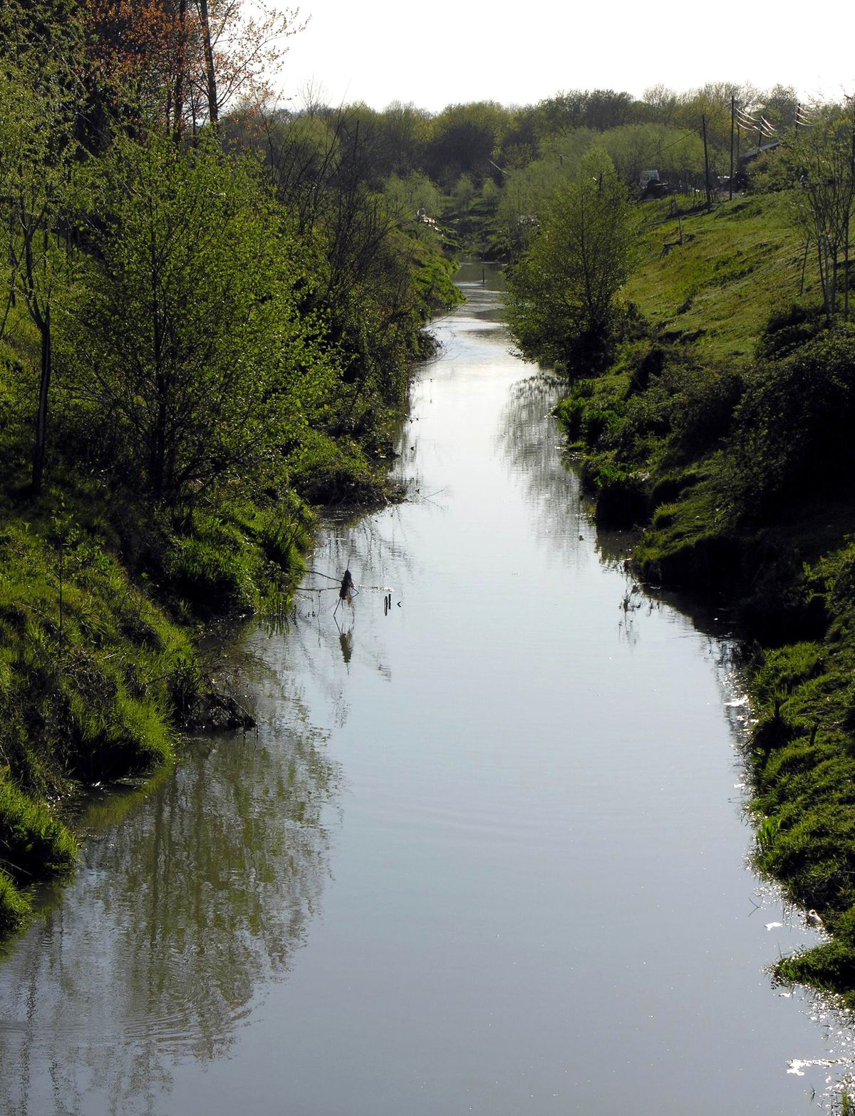 Karadeniz'i Nehirler Kirletiyor