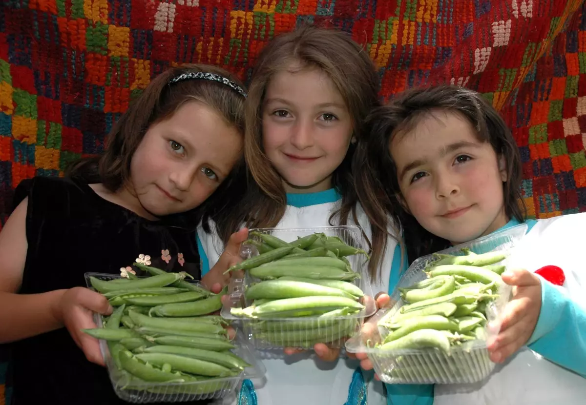 Güney 4. Bezelye ve Barbunya Festivali