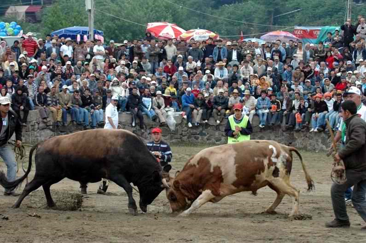 Kafkasör Kültür Turizm ve Sanat Festivali Sona Erdi