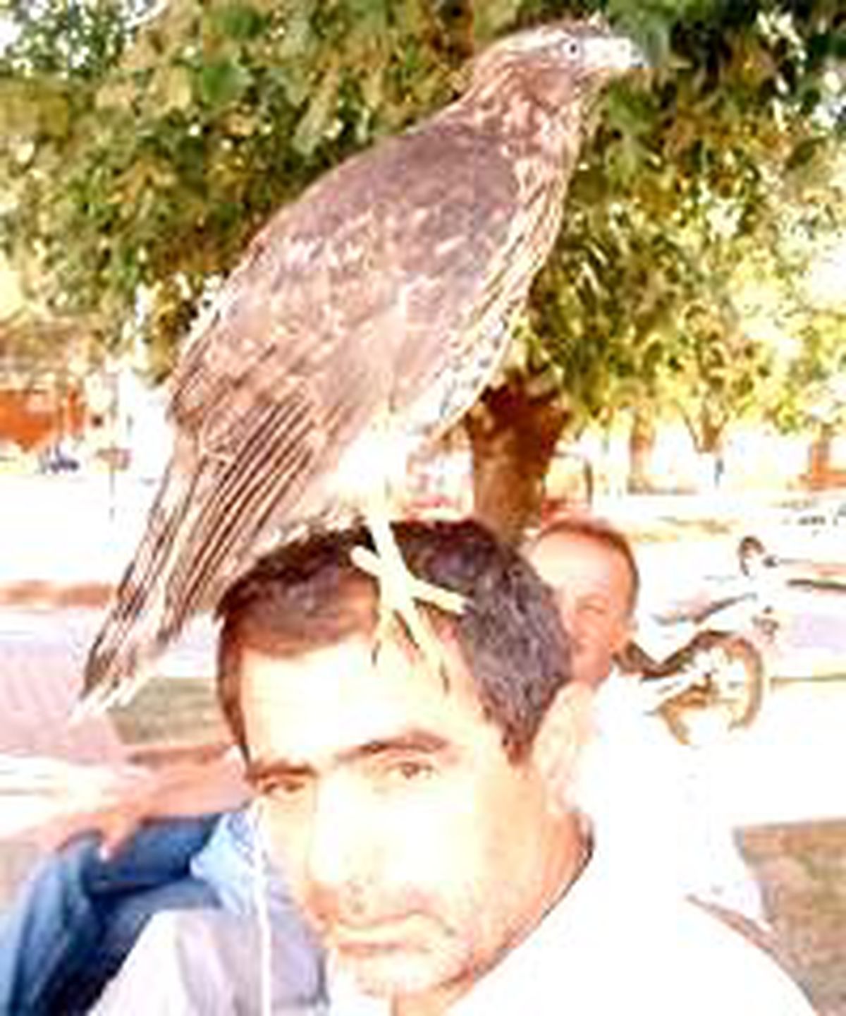 Doğadan Vazgeçti