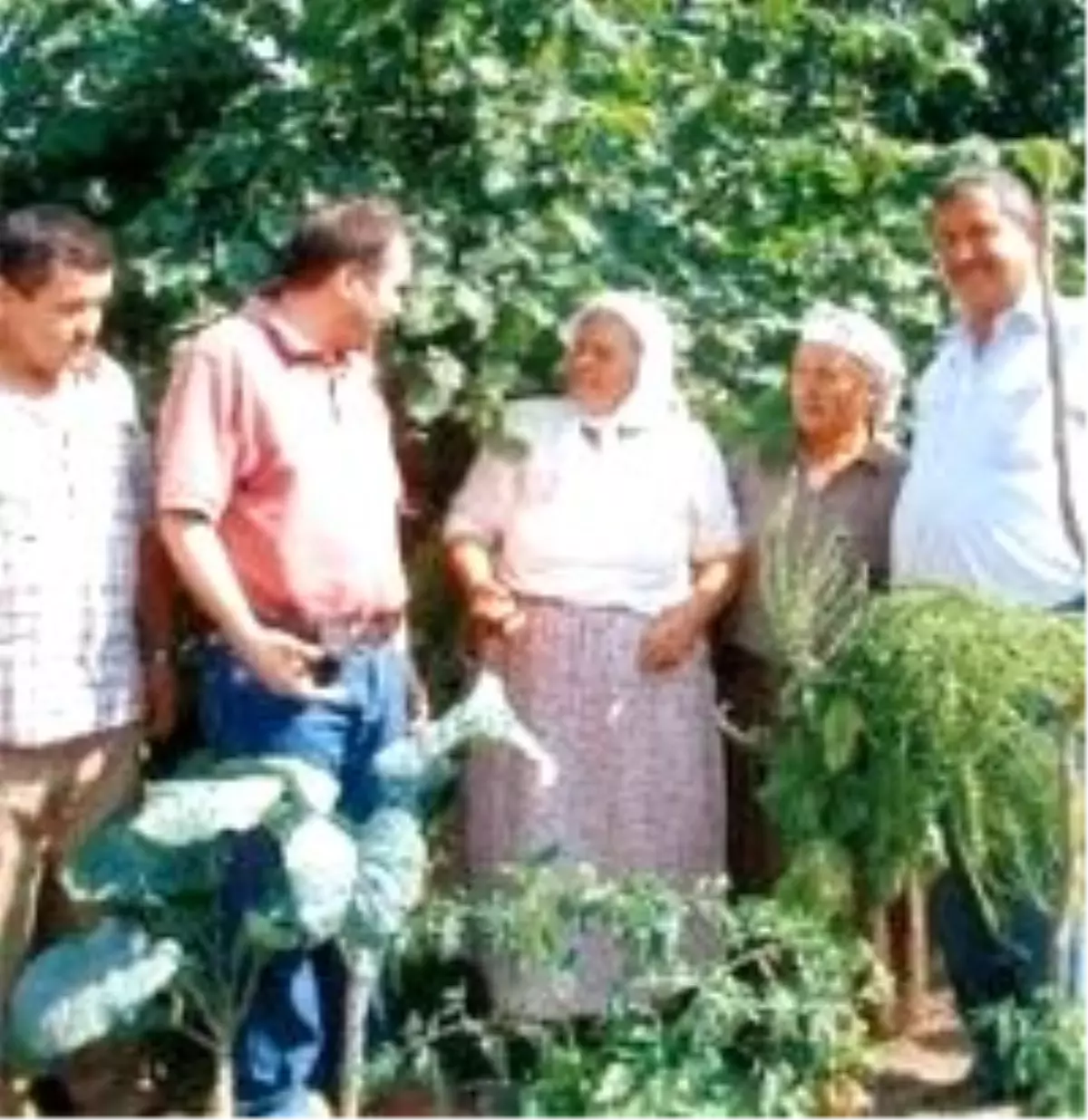 Kim Gelirse Gelsin, Fındığa İyi Fiyat Versin