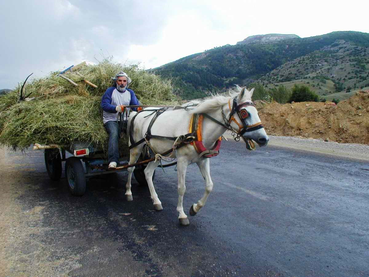 Hasat Mevsimi Erken Başladı