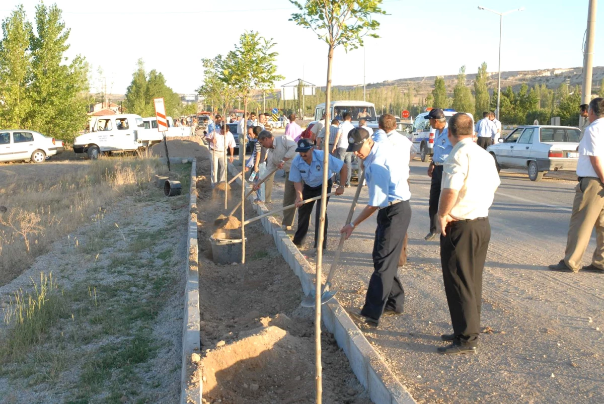 Karaman Belediyesi\'nden Ağaçlandırma Çalışması