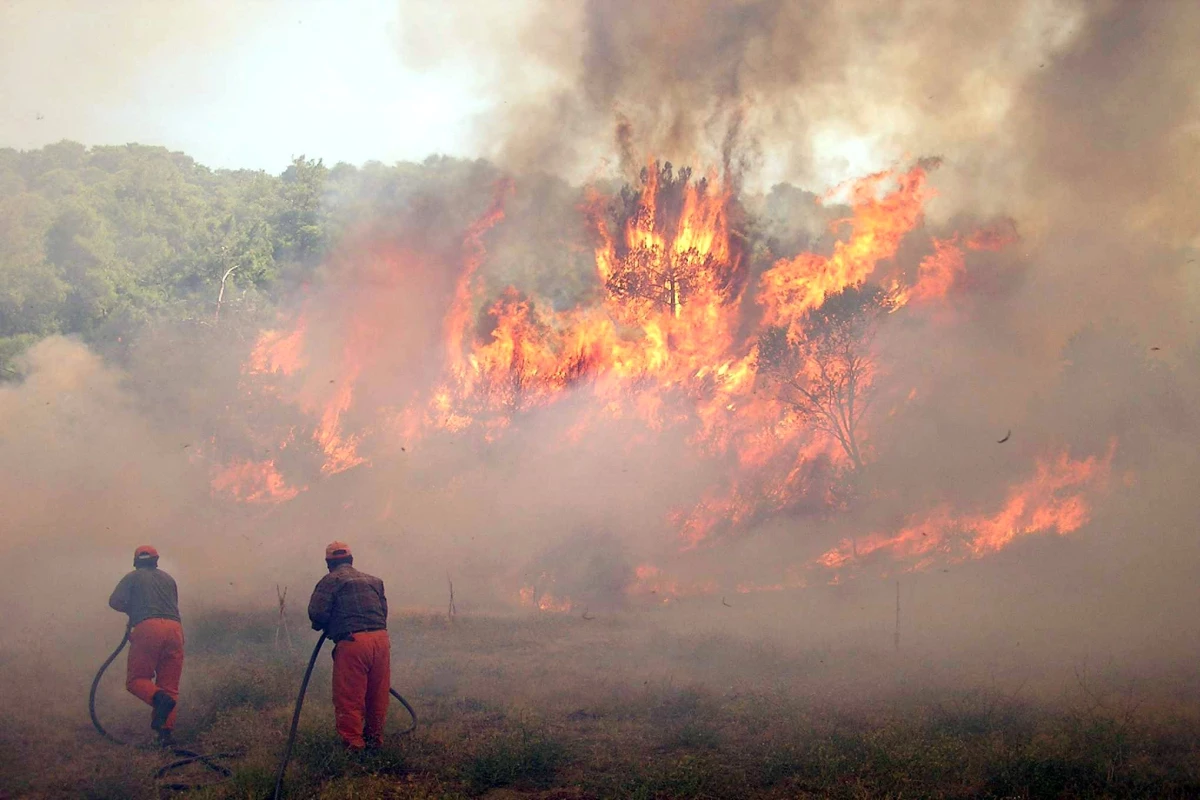 Karacasu Dağları Yangında Kül Oldu