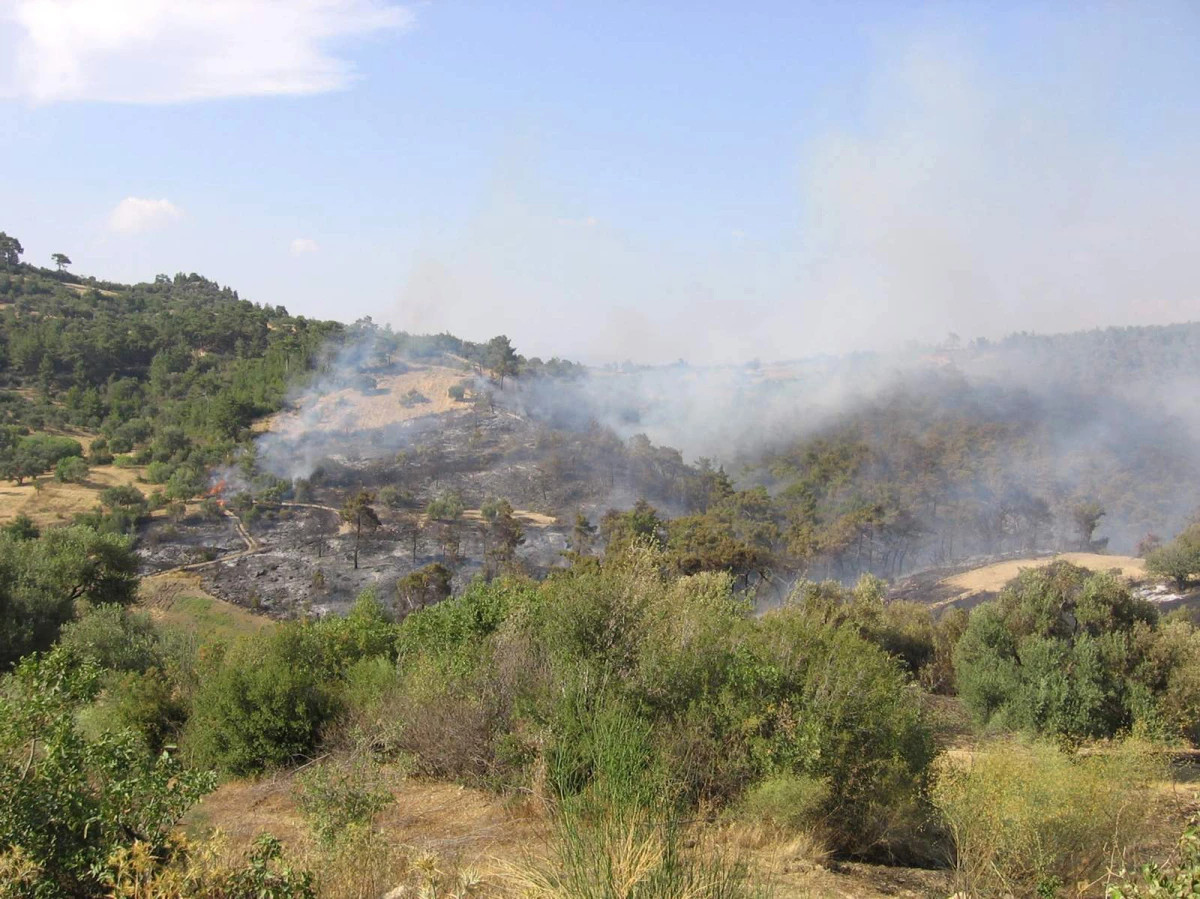 Manisa\'daki Orman Yangını