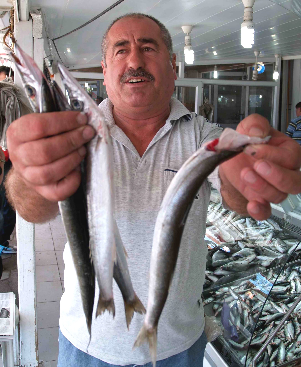 Gelibolulu Balıkçıların Turna Balığı Sevinci
