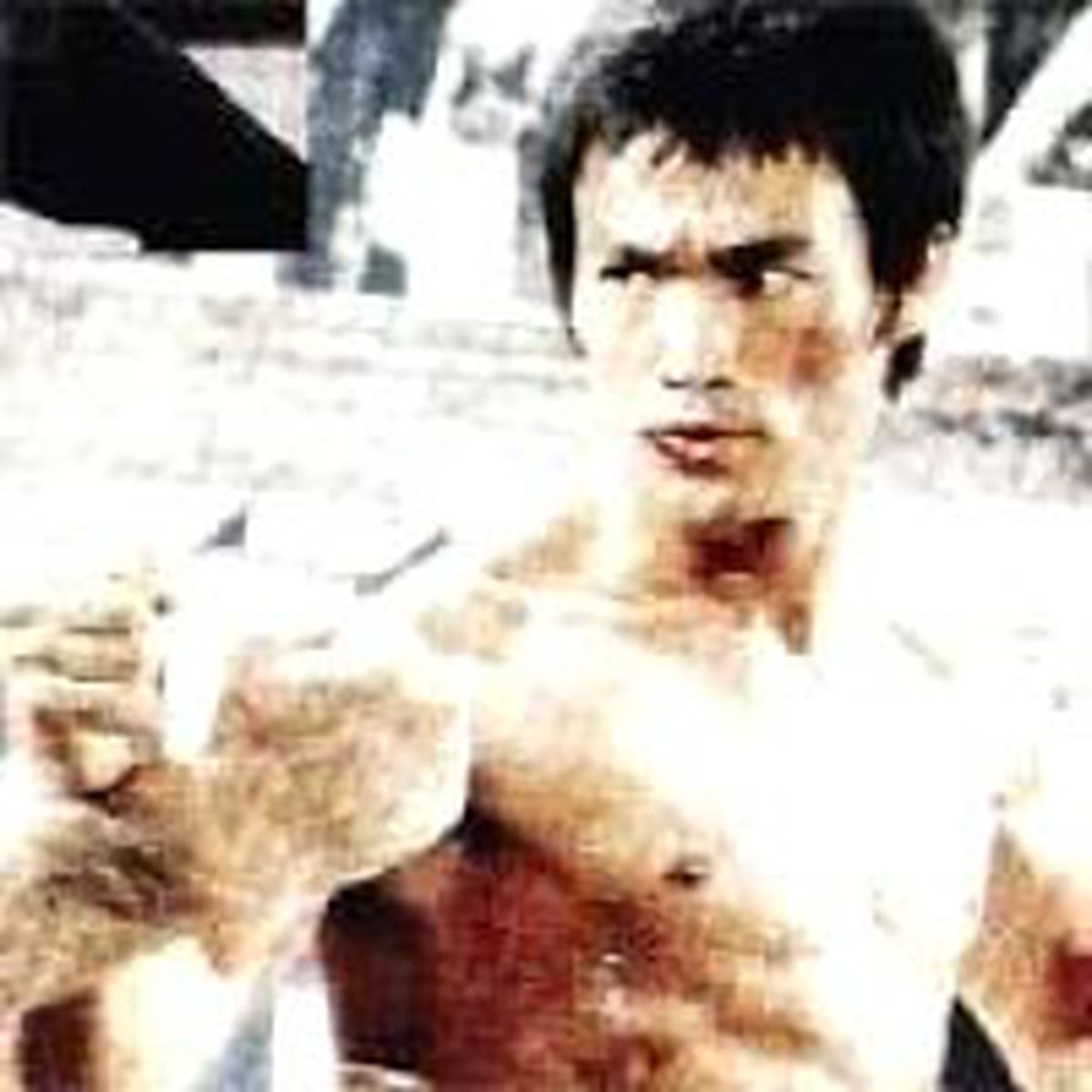 Bruce Lee Yazılı Plakaya 5.100 Dolar