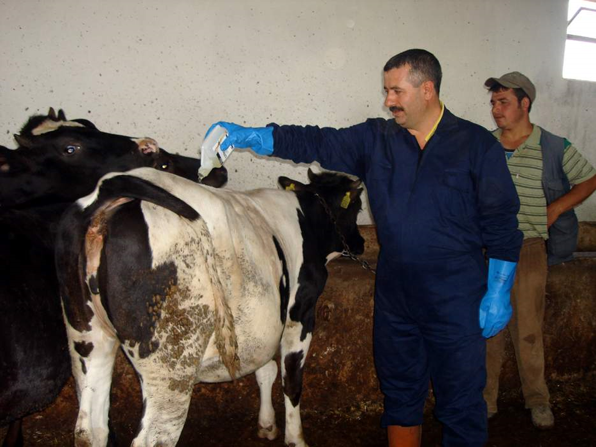 Afyonkarahisar'da 'Kene' Tedbirleri