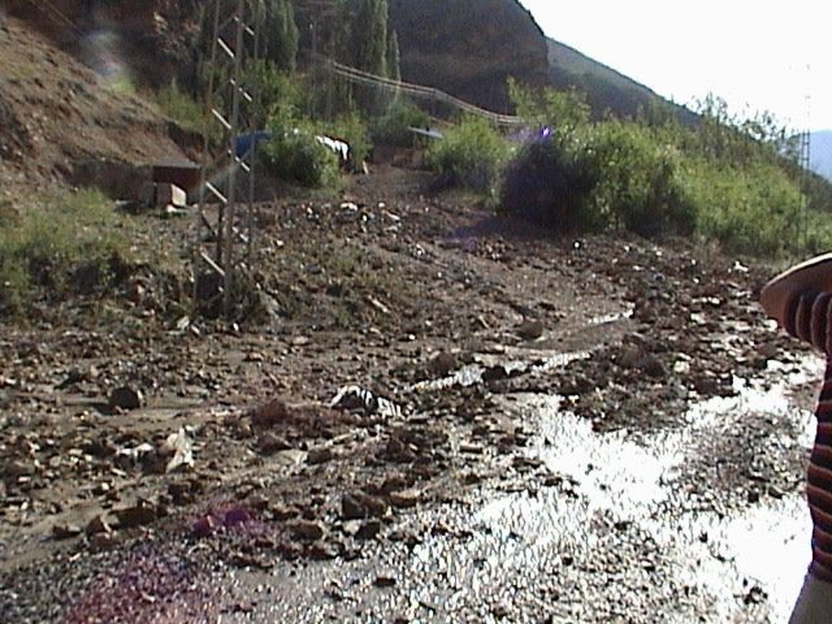 Dolu, Olur'da Hasara Yol Açtı