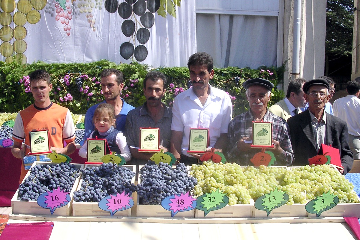Arapgir Bağbozumu Şenlikleri'ne Hazırlanıyor