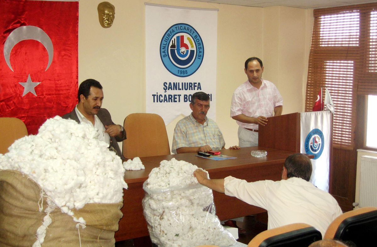 Şanlıurfa'da Yılın İlk Pamuğu 2 YTL'den Satıldı