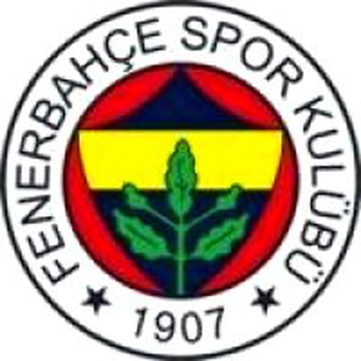 Fenerbahçe Yüzde 155 Oranında Temettü Dağıtacak