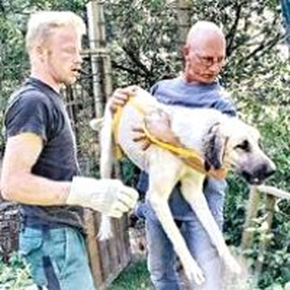 Kangal Ticareti Yapan Alman'ın Çiftliğine Baskın