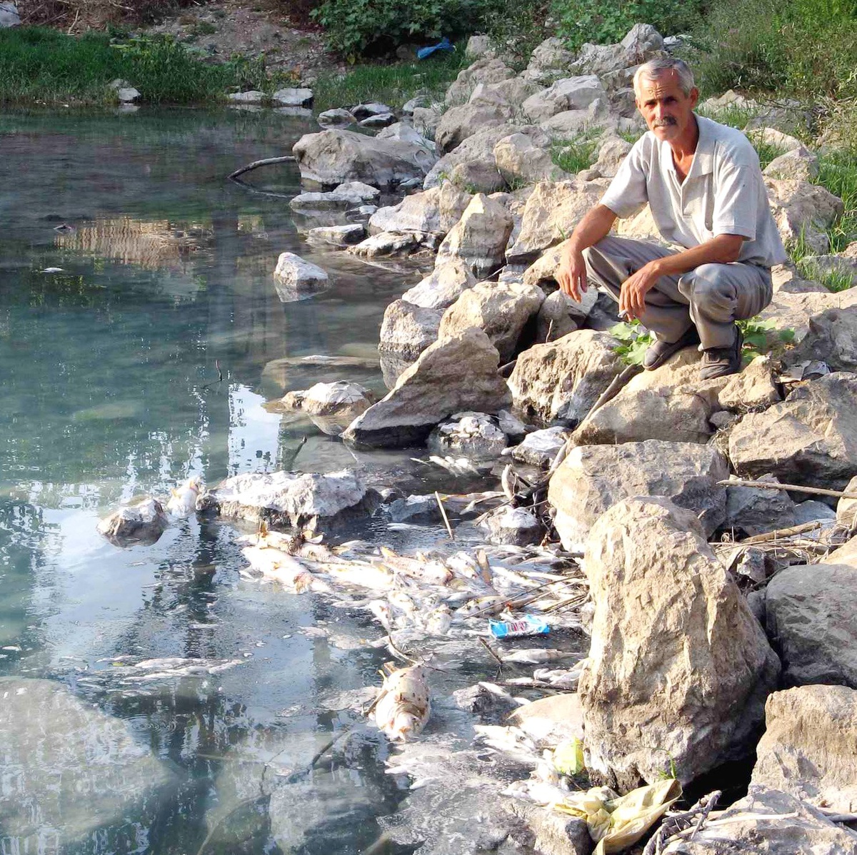 Kocaçay Deresi'ndeki Balık Ölümlerinin Sebebi Atık Sular